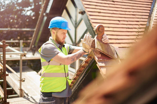 Best Flat Roof Repair Services  in Twin Grove, IL